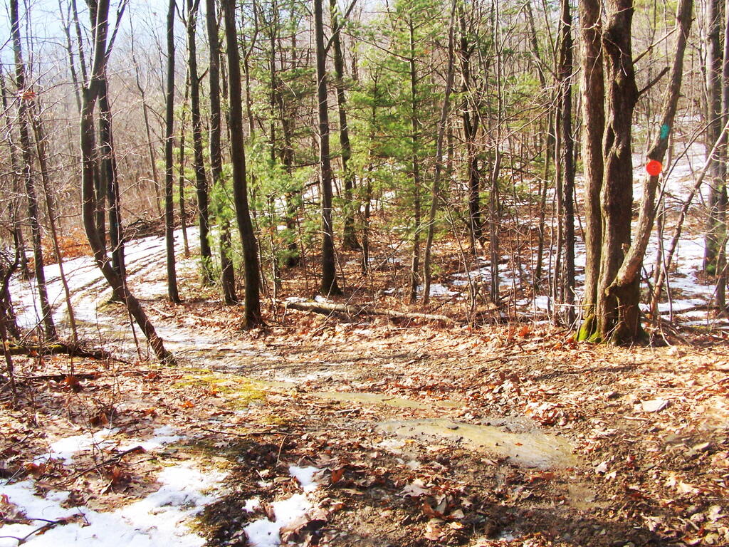 Photo: Snowmobile Trail
