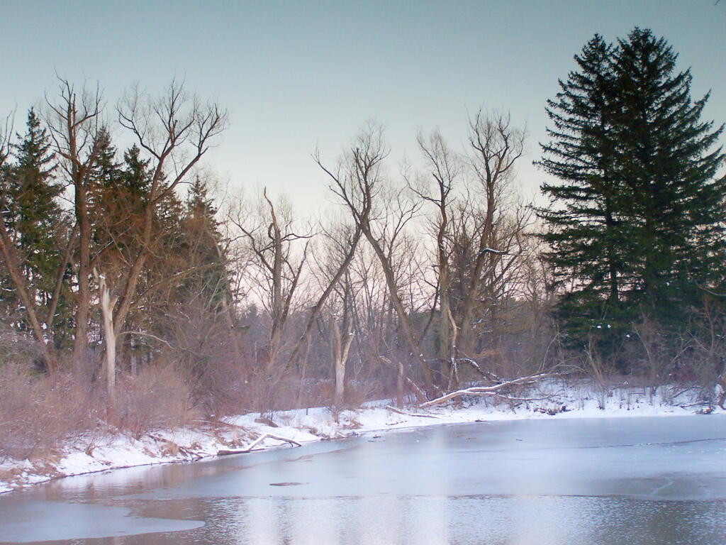 Photo: Pond at Five Rivers Photo: Pond at Five Rivers