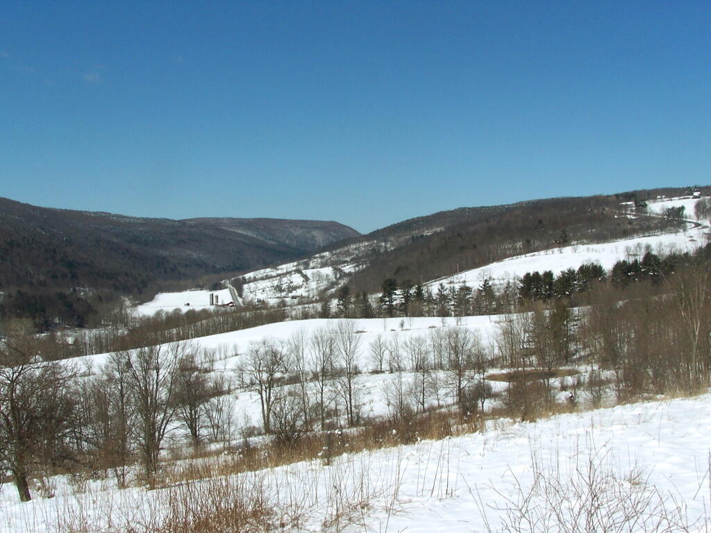 Photo: Potter Hollow Road