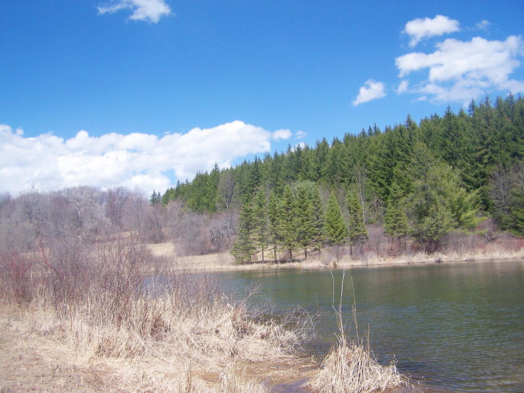 Photo: Beaver Pond Photo: Beaver Pond
