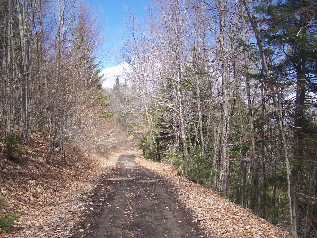 Photo: Mudding