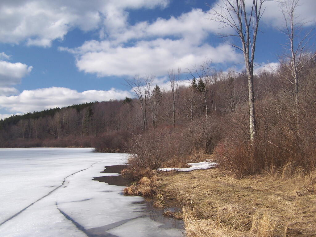 Photo: Fawn Lake Ice