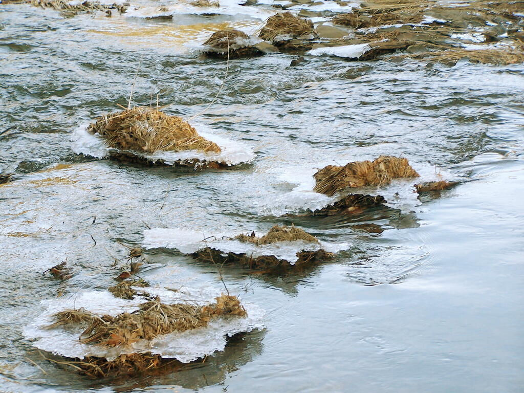 Photo: Thawing Ice Photo: Thawing Ice