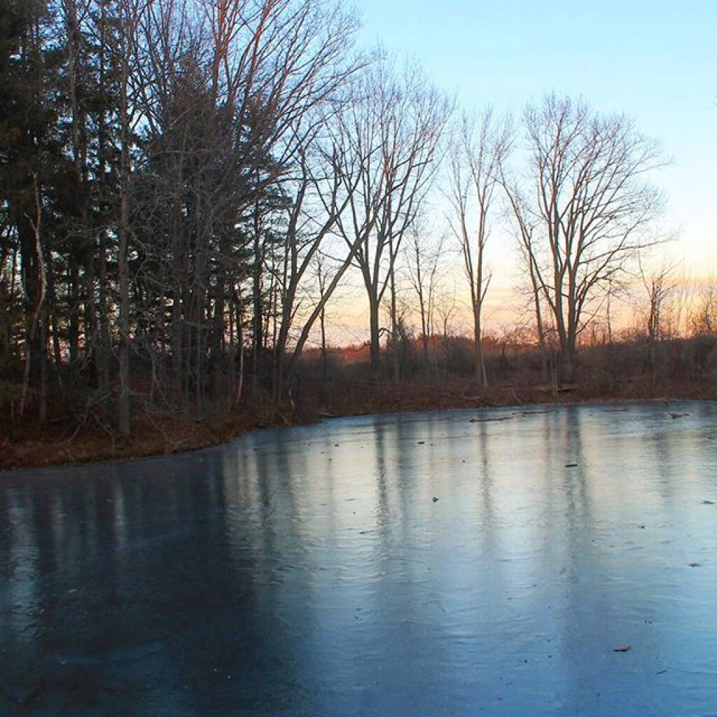 Photo: Ice Photo: Ice