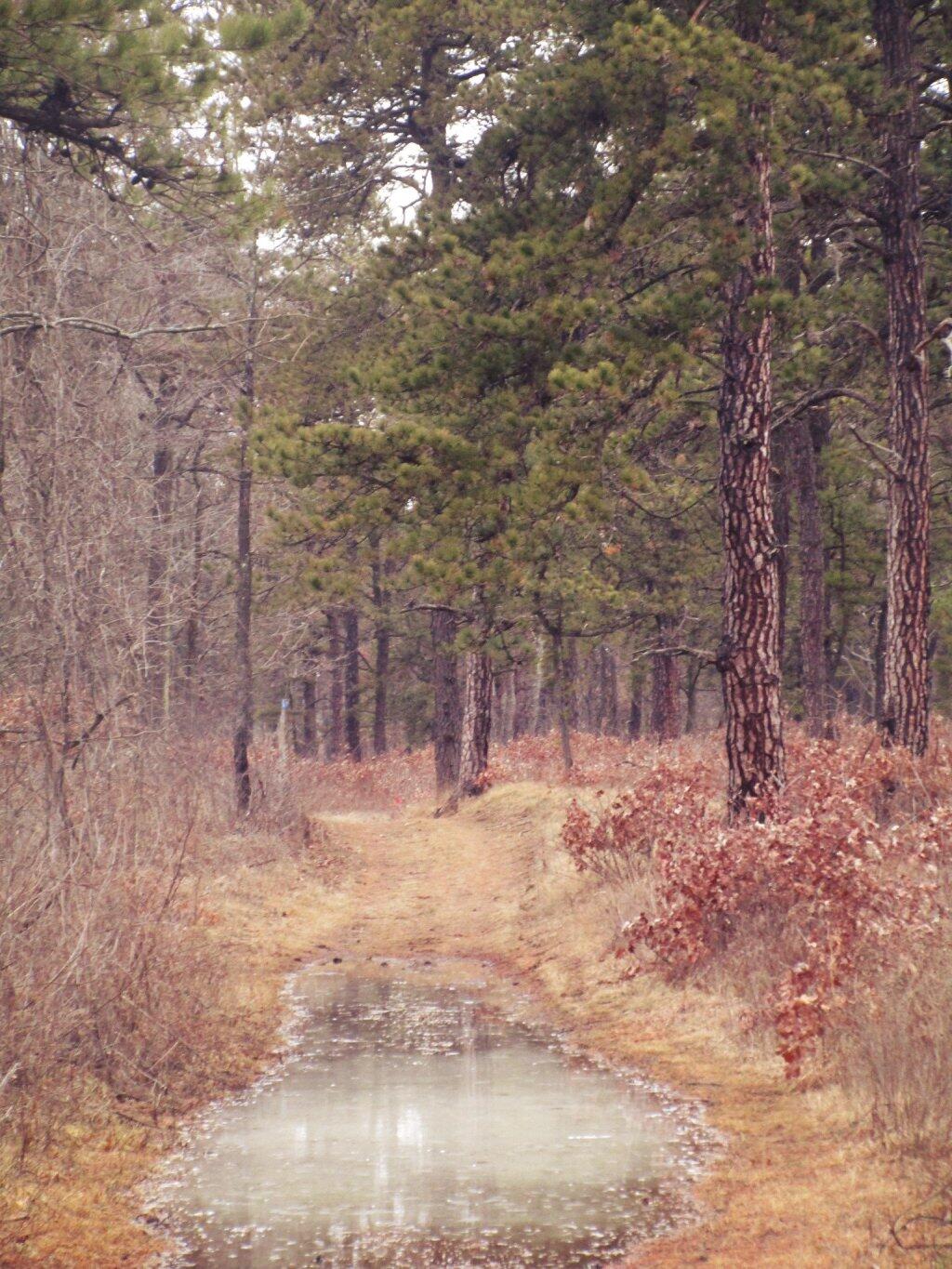 Photo: Ice