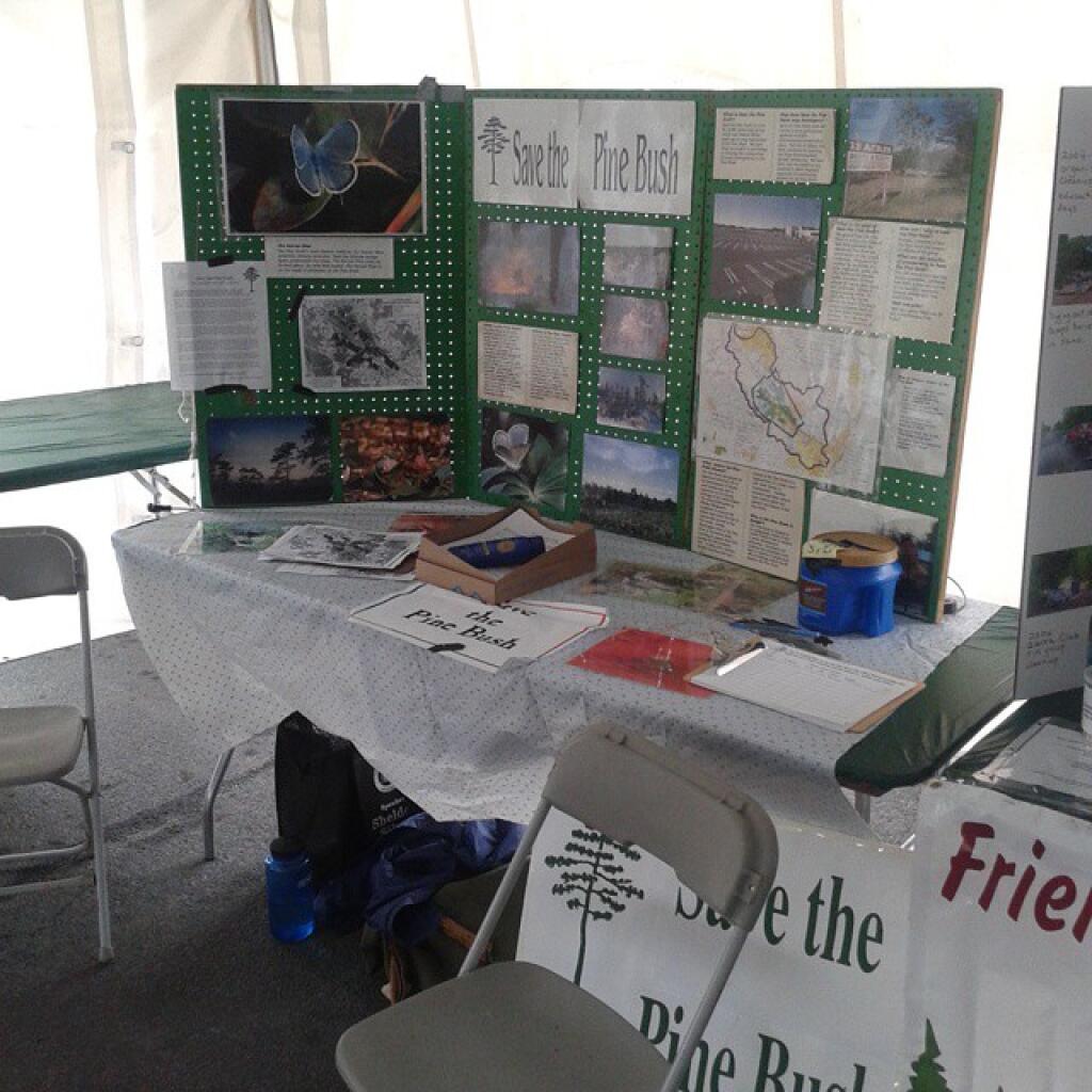 Photo: Save the Pine Bush booth at @AlbanyPineBush Lupinefest Photo: Save the Pine Bush booth at @AlbanyPineBush Lupinefest