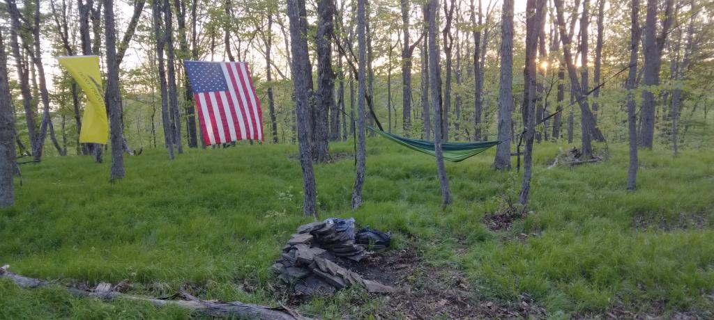 Photo: Hammock Camping on Cole Hill Photo: Hammock Camping on Cole Hill