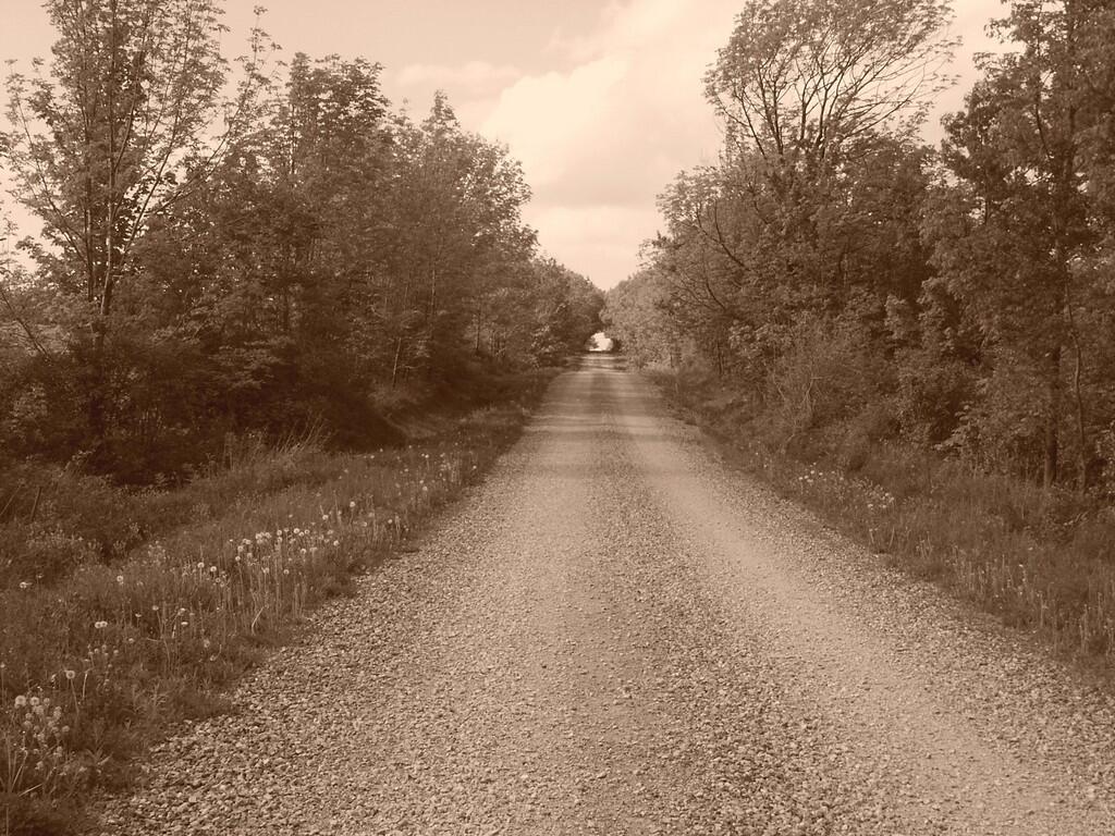 Photo: Kenyon Rd