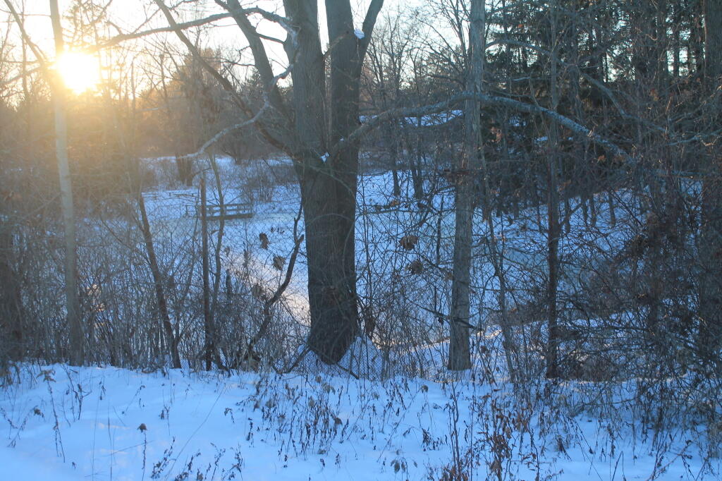 Photo: Cold Winter\'s Afternon