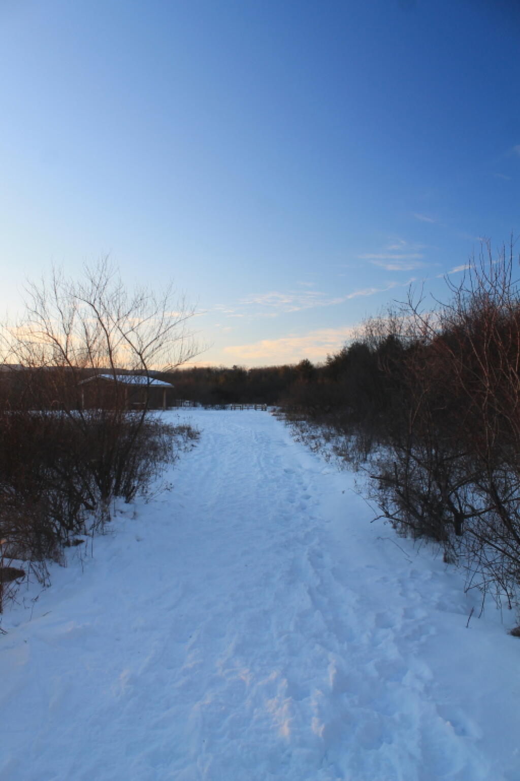 Photo: Winter's Evening Colors
