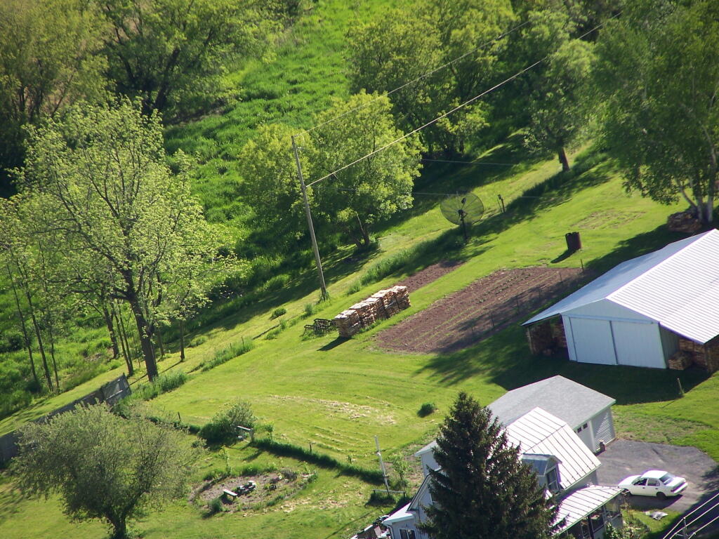 Photo: Backyard