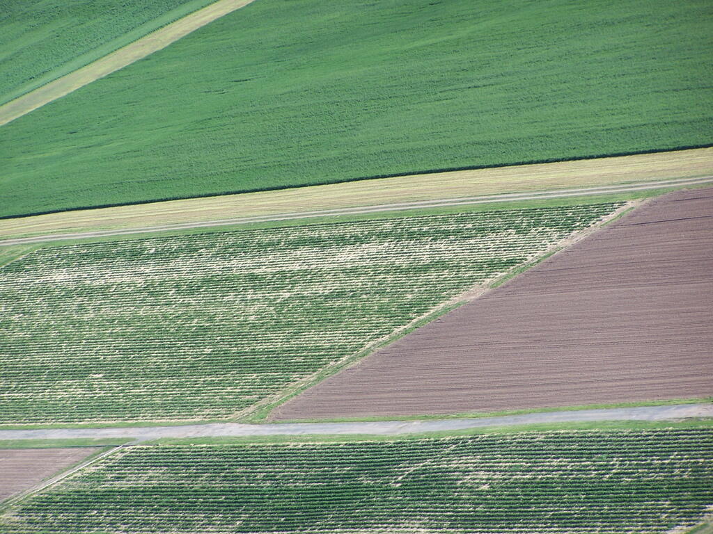 Photo: Fields