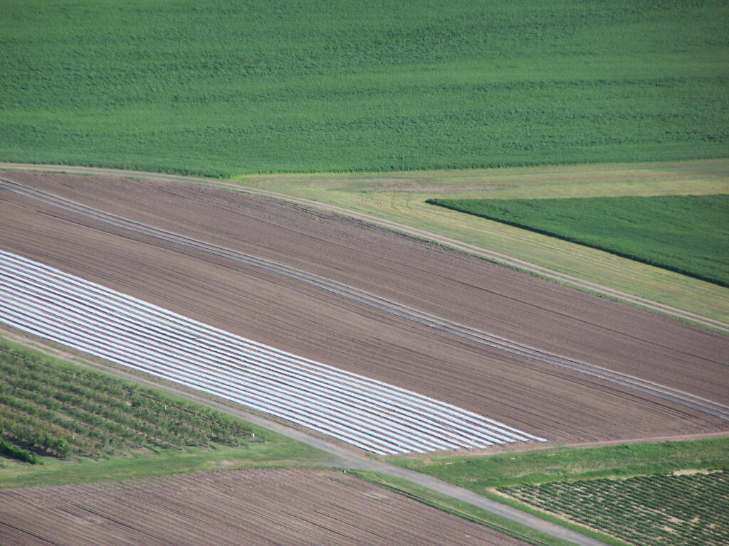 Photo: White Fields