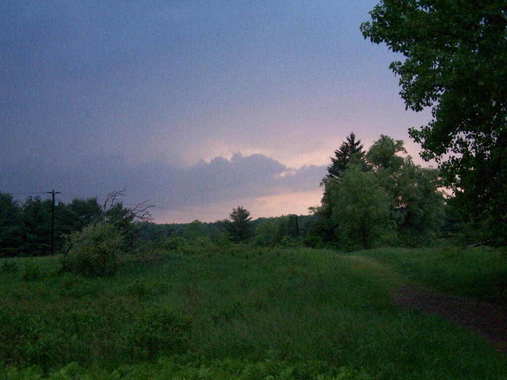 Photo: Rainy Evening at Five Rivers