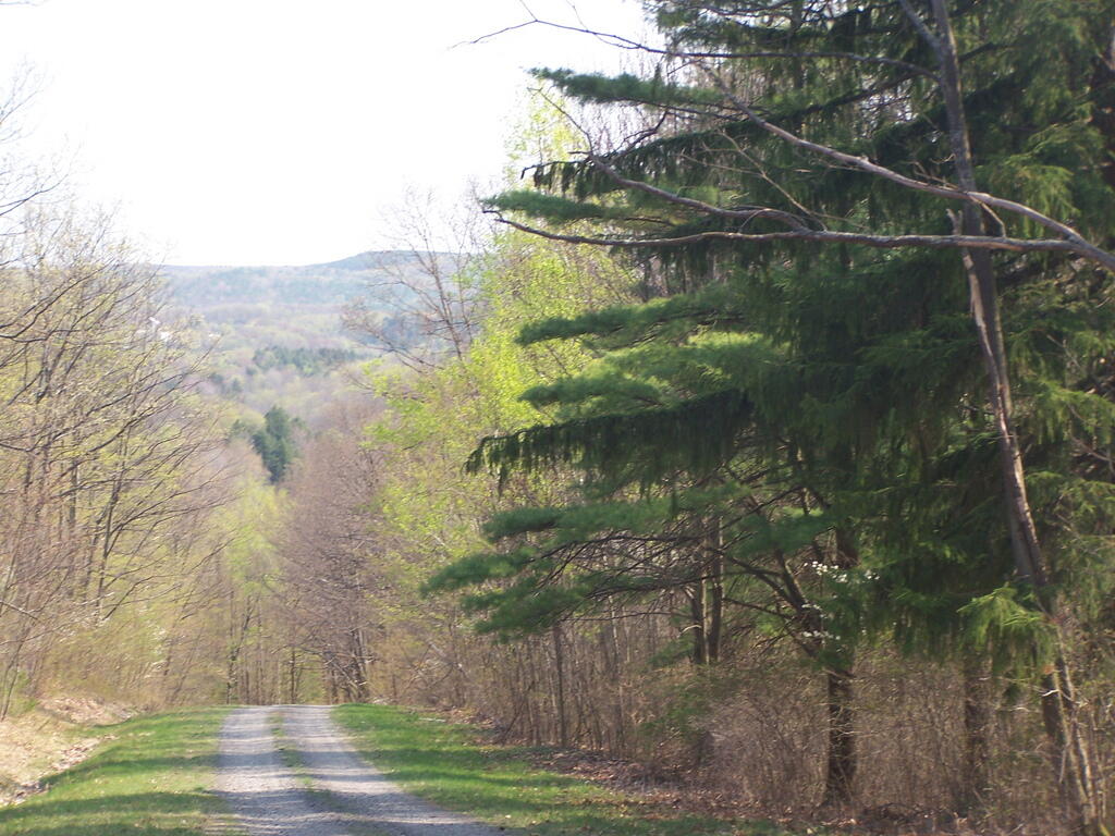 Photo: Into the Valley Photo: Into the Valley