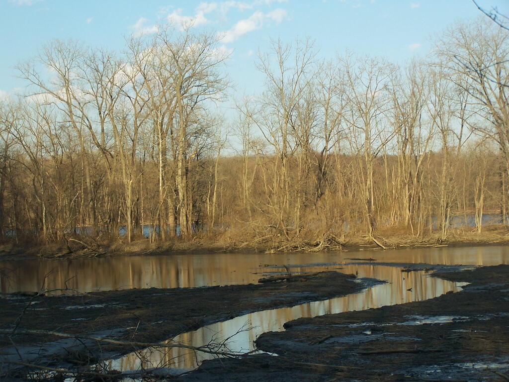 Photo: Estuary Photo: Estuary