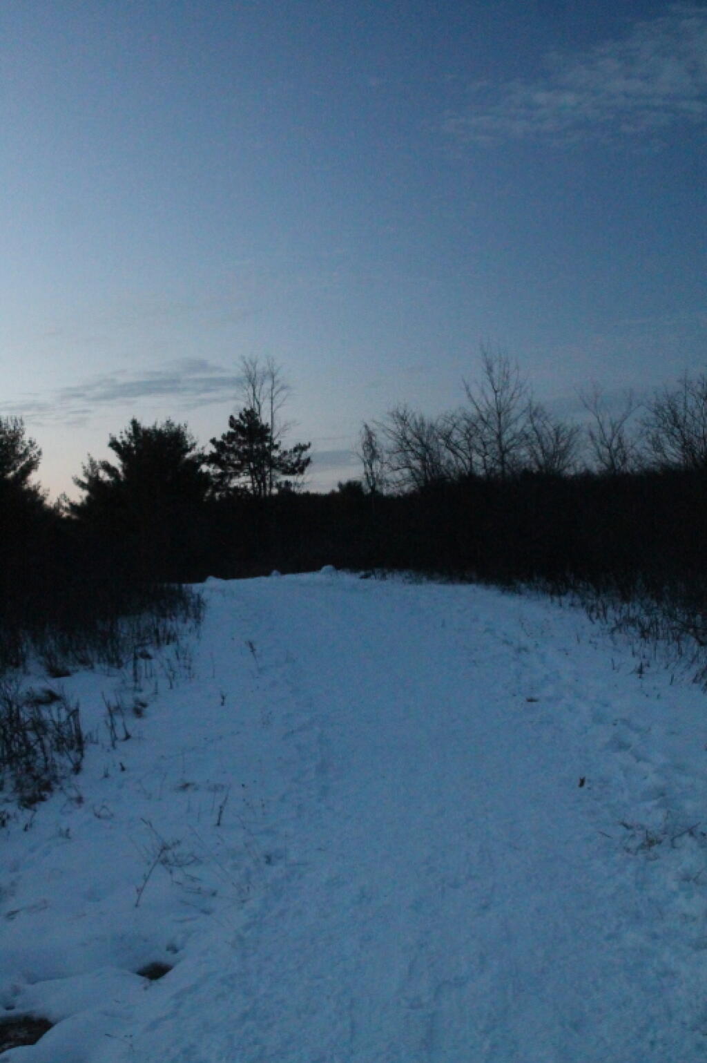 Photo: Dusk