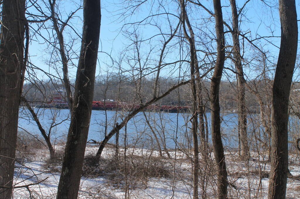 Photo: River from the Red Trail Photo: River from the Red Trail