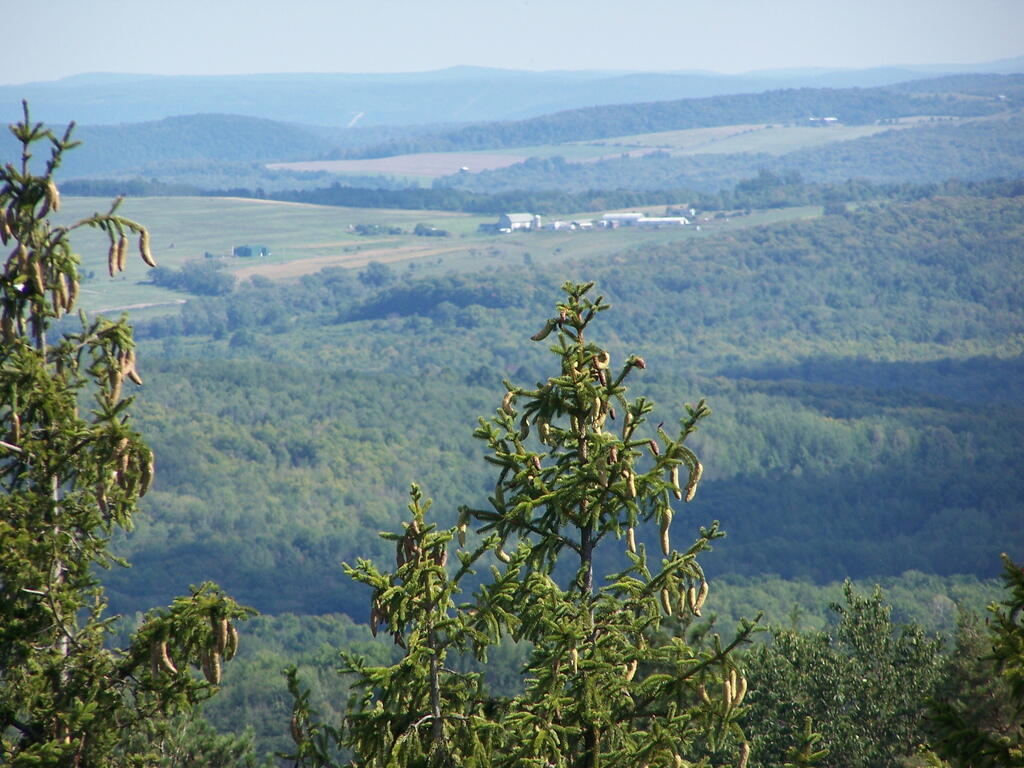 Photo: Distant Farm Photo: Distant Farm
