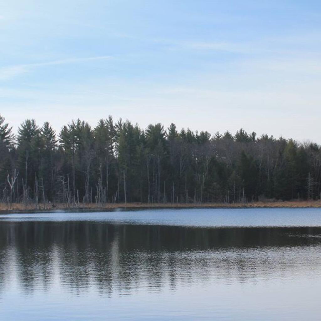 Photo: Looking Glass Pond has been refilled Photo: Looking Glass Pond has been refilled
