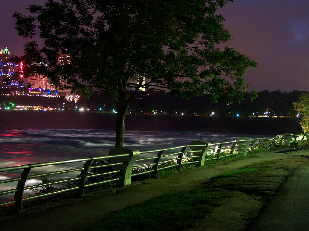 Photo: Park at Night