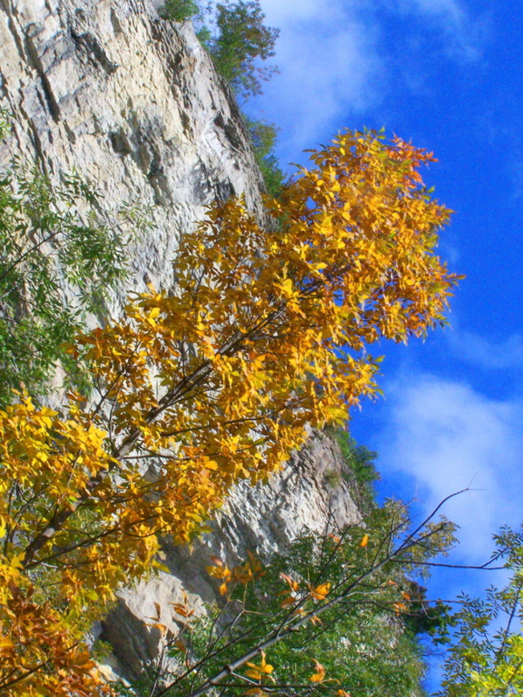 Photo: Colors Change
