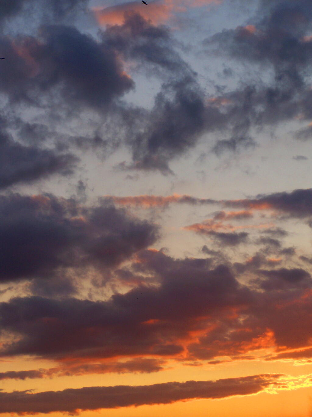 Photo: Sunset's Clouds