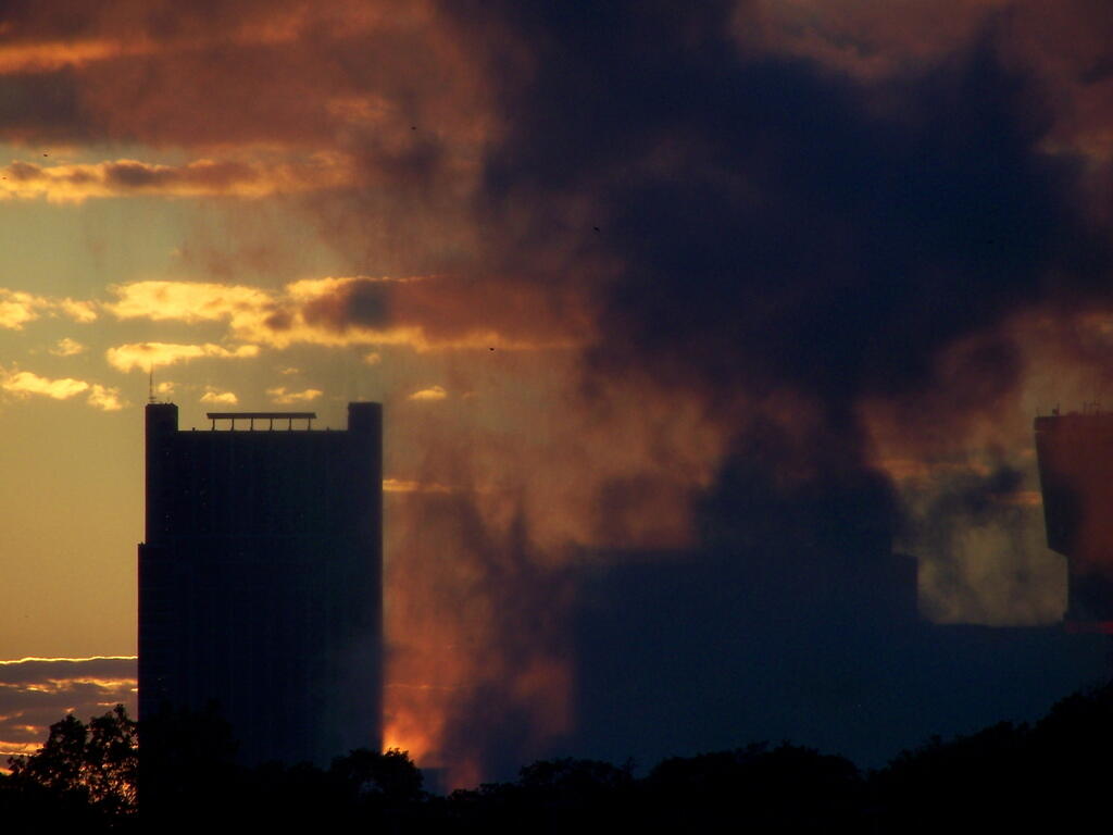 Photo: Steam