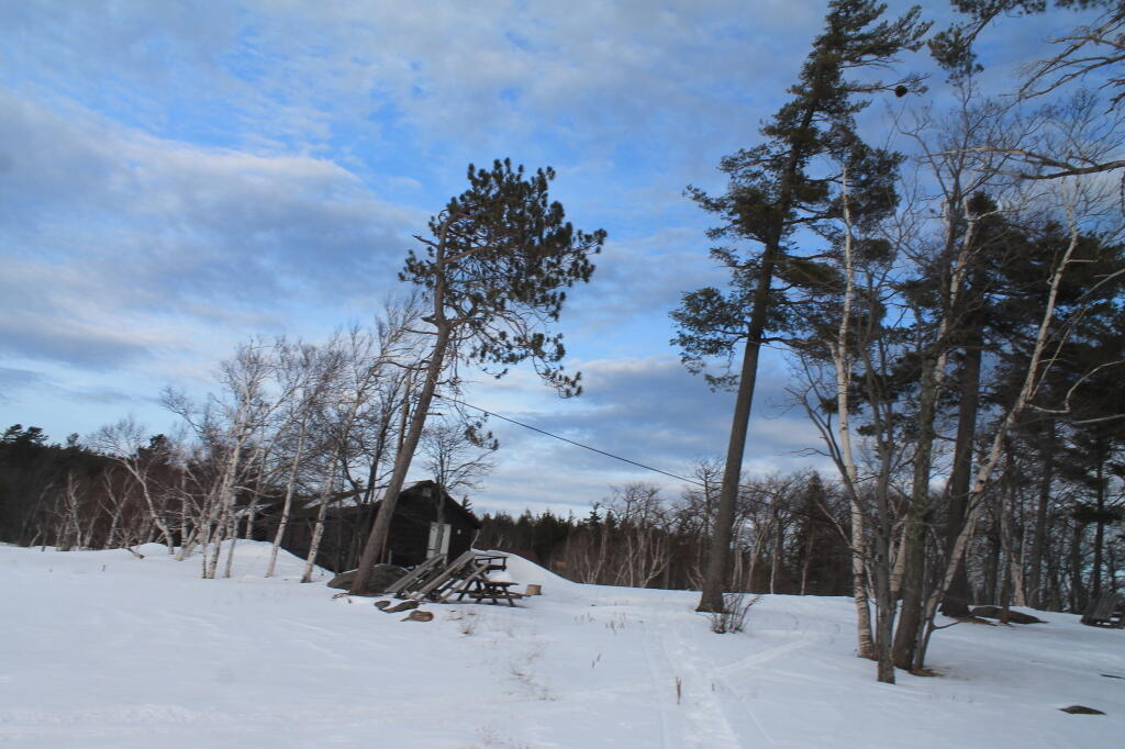 Photo: Photo.2013.03.10 18.37.33