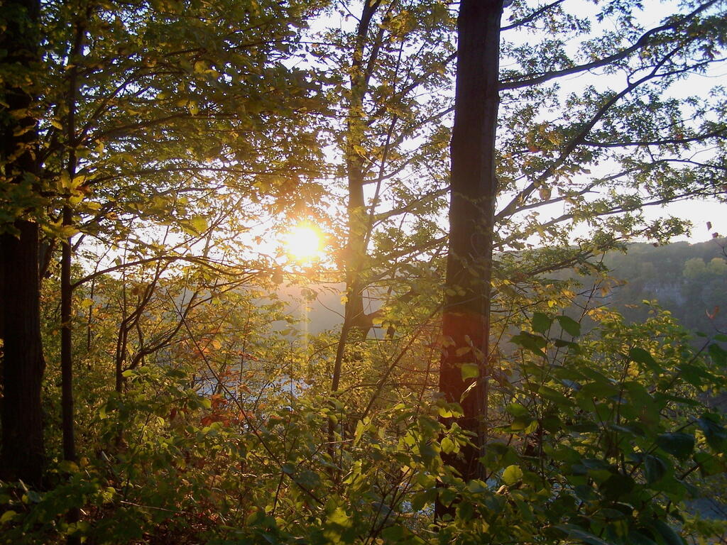 Photo: Niagara Valley