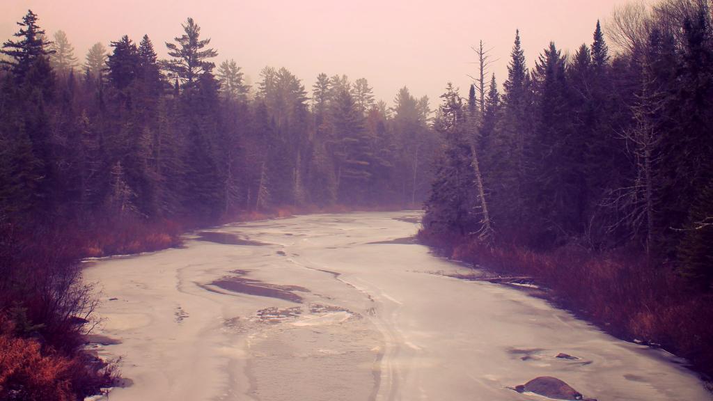 Photo: Dreary Winter Day Walking Along the Vanderwhacker Brook