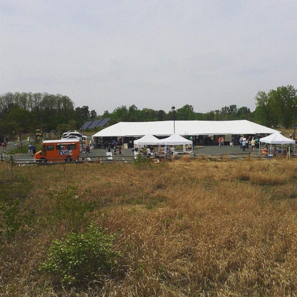 Photo: Lupinefest this afternoon