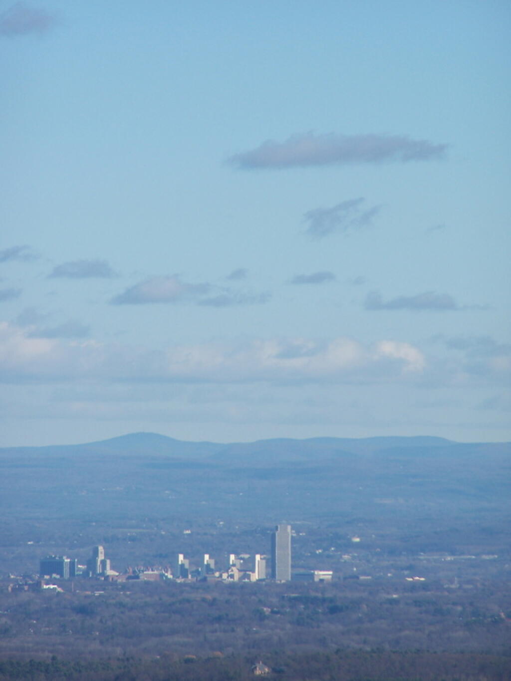 Photo: Albany Skyline