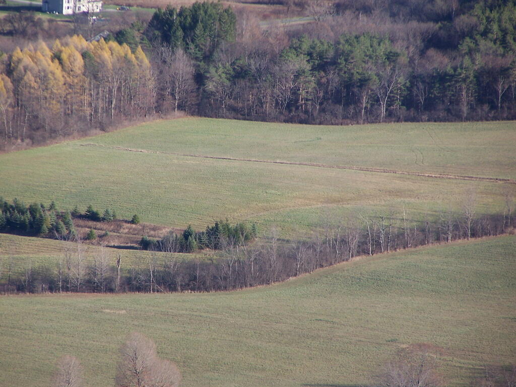 Photo: Farm Fields Photo: Farm Fields