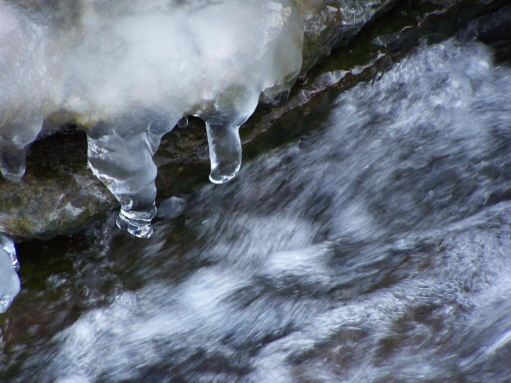 Photo: Ice Water Photo: Ice Water