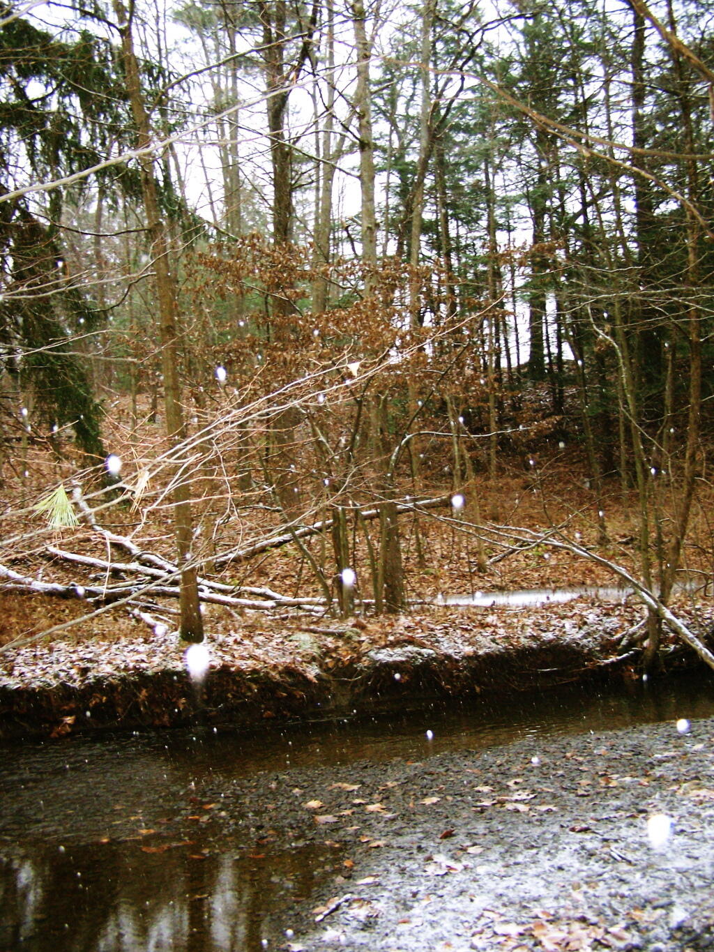 Photo: Snow Stream