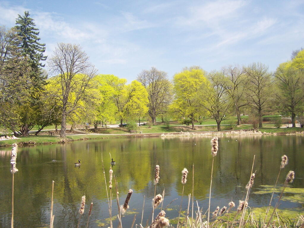 Photo: Spring at Washington Park Lake Photo: Spring at Washington Park Lake