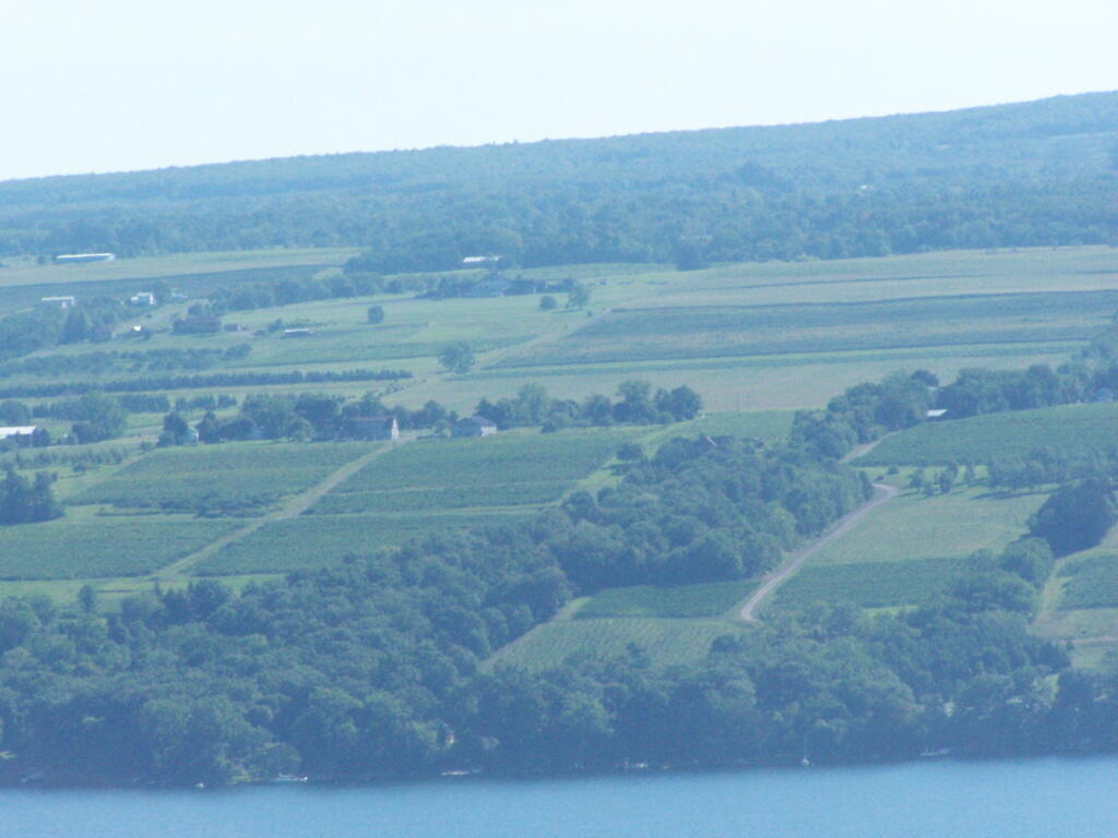 Photo: Wineries Across the Way from Seneca Lake