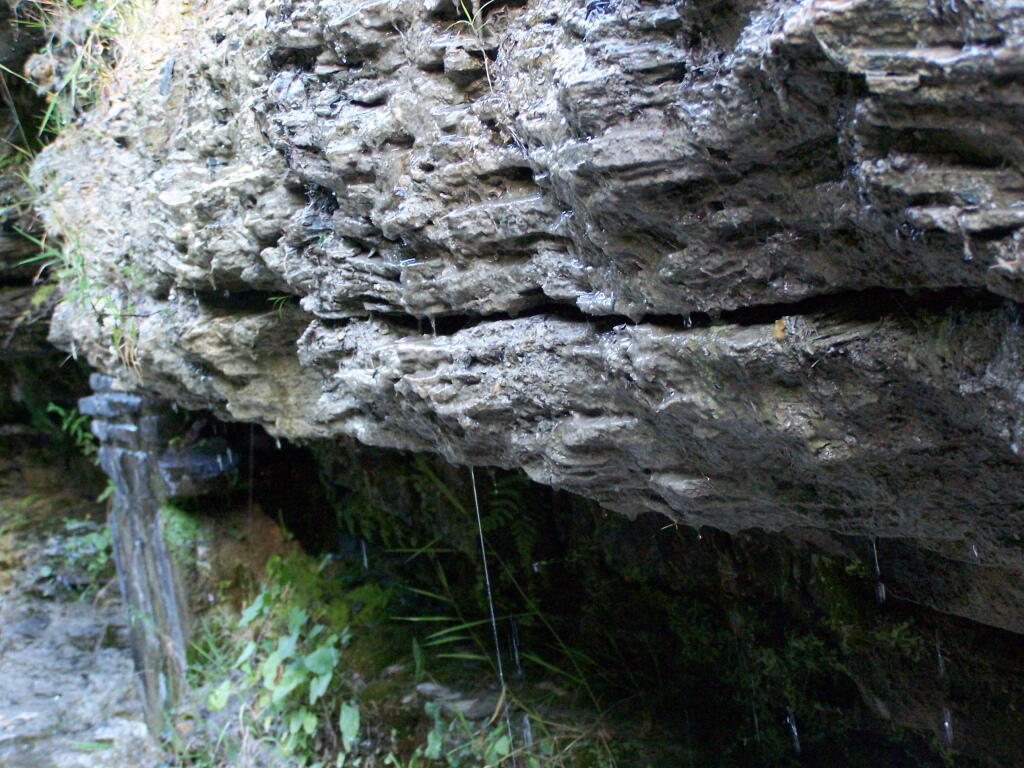 Photo: Dripping Rock Photo: Dripping Rock