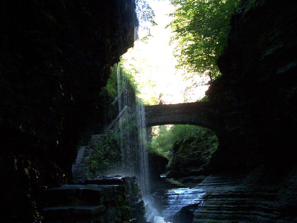 Photo: Glen Bridge