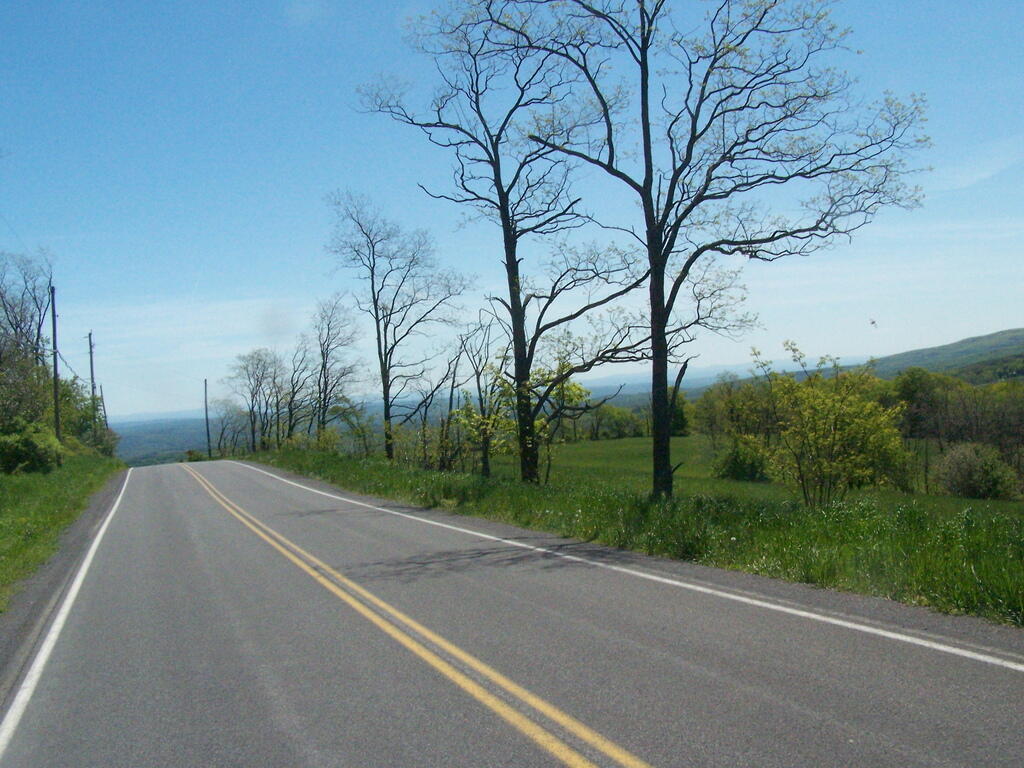 Photo: Down the Hill
