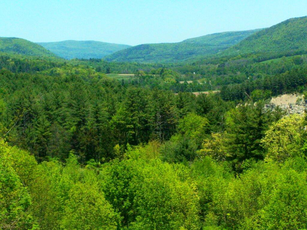 Photo: Down Schoharie Valley