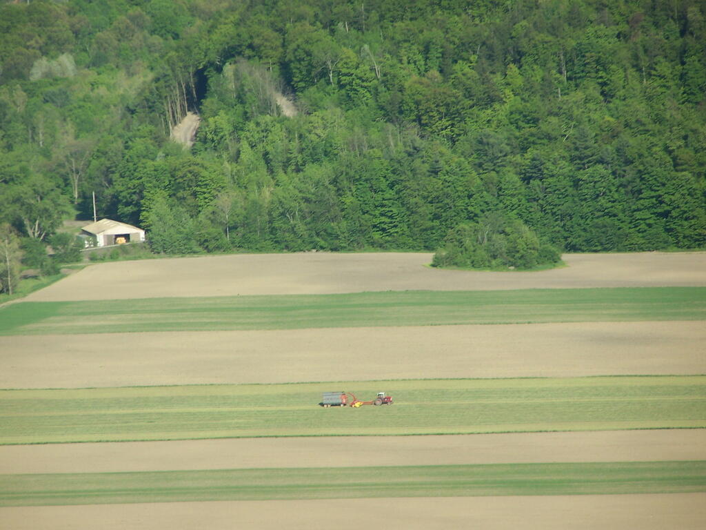 Photo: Chopping Hay