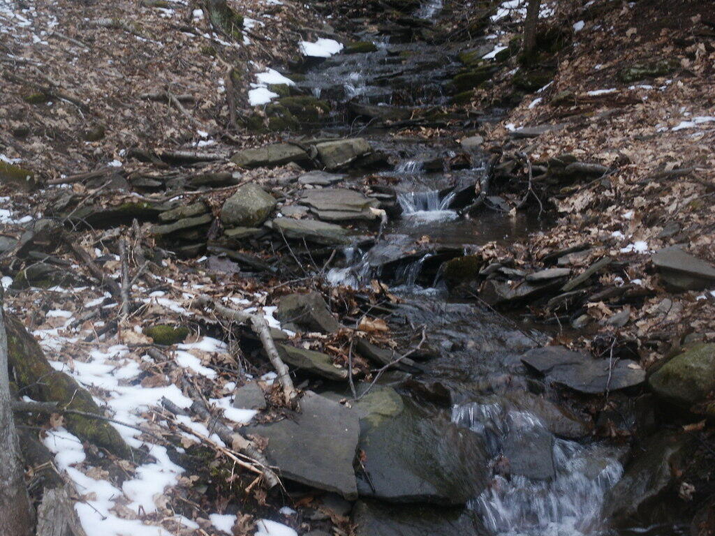 Photo: Stream Down Photo: Stream Down