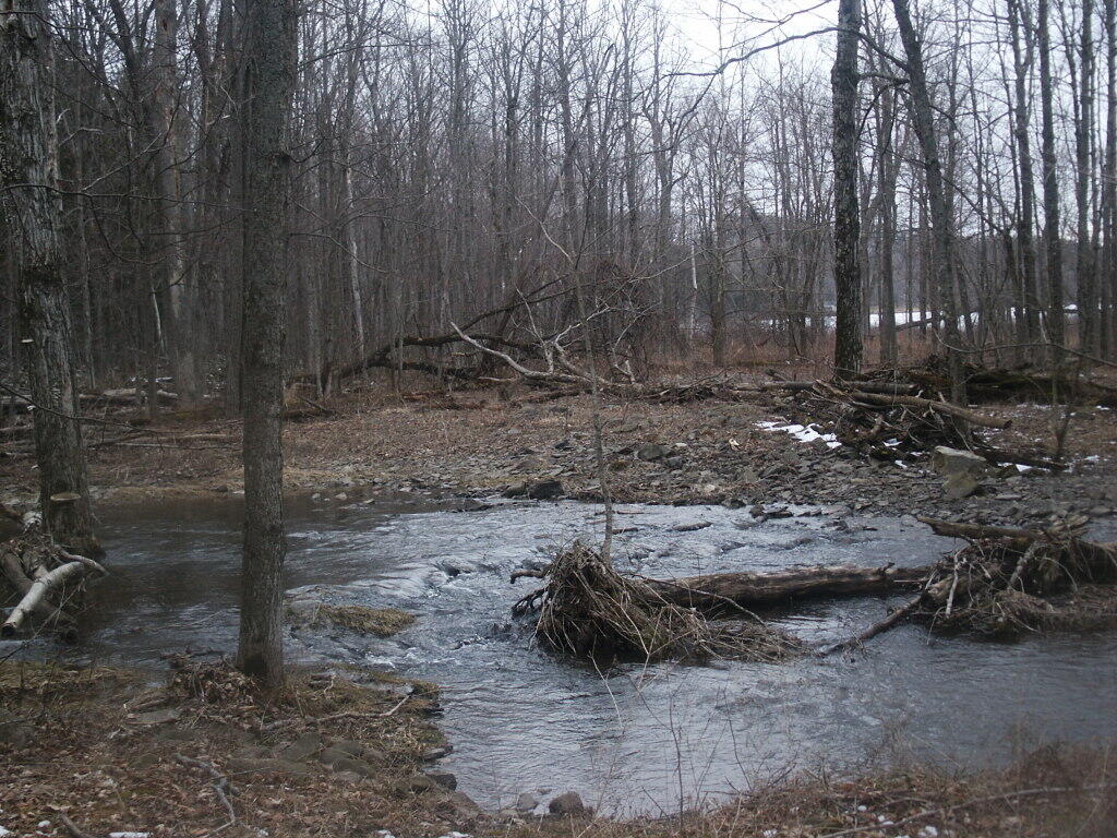 Photo: Flood Photo: Flood