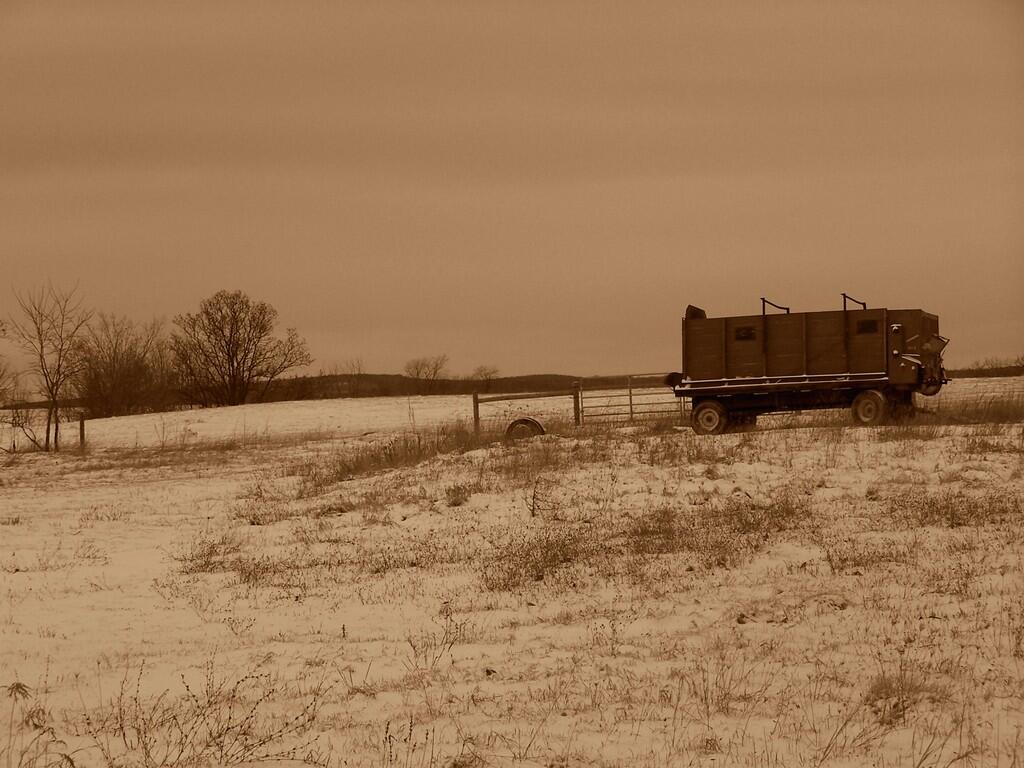 Photo: Silage Wagon