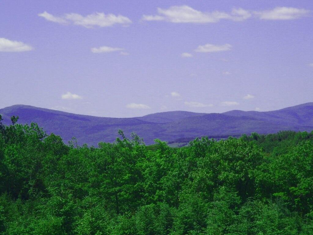 Photo: Blue Over Green