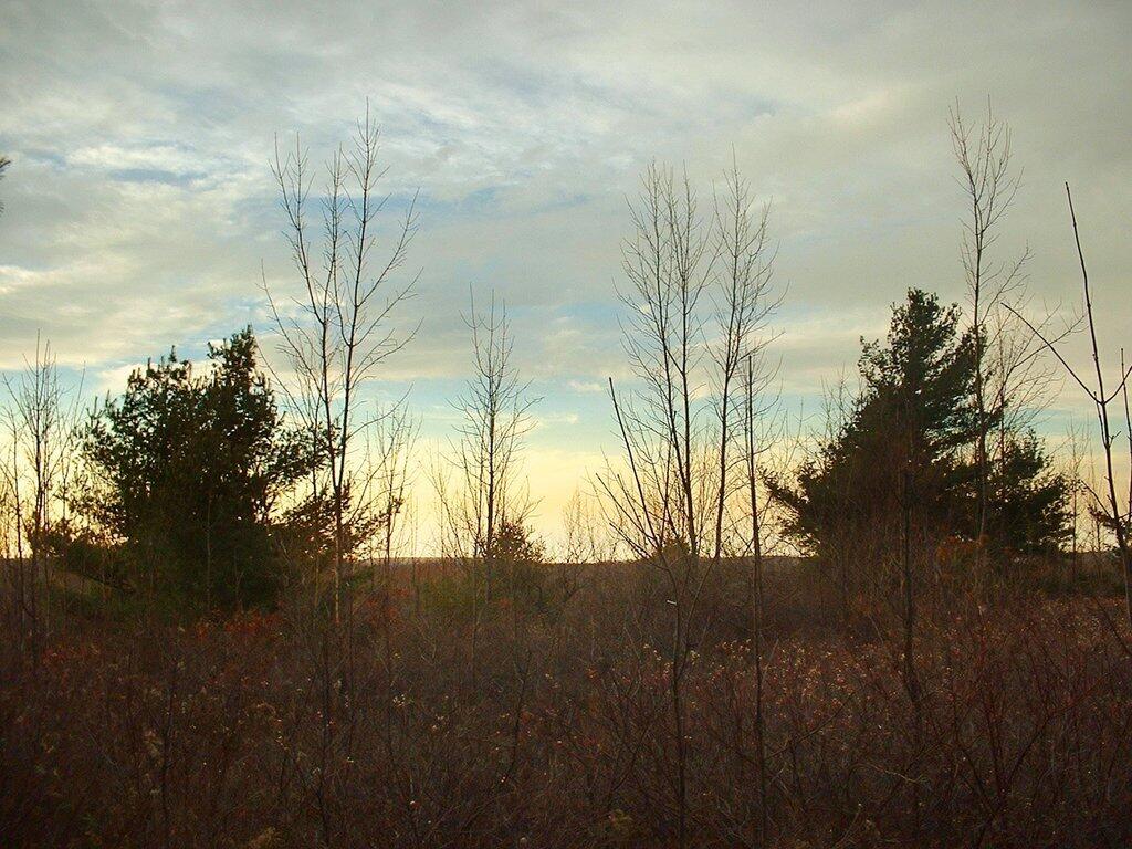 Photo: Sunset Brush Photo: Sunset Brush