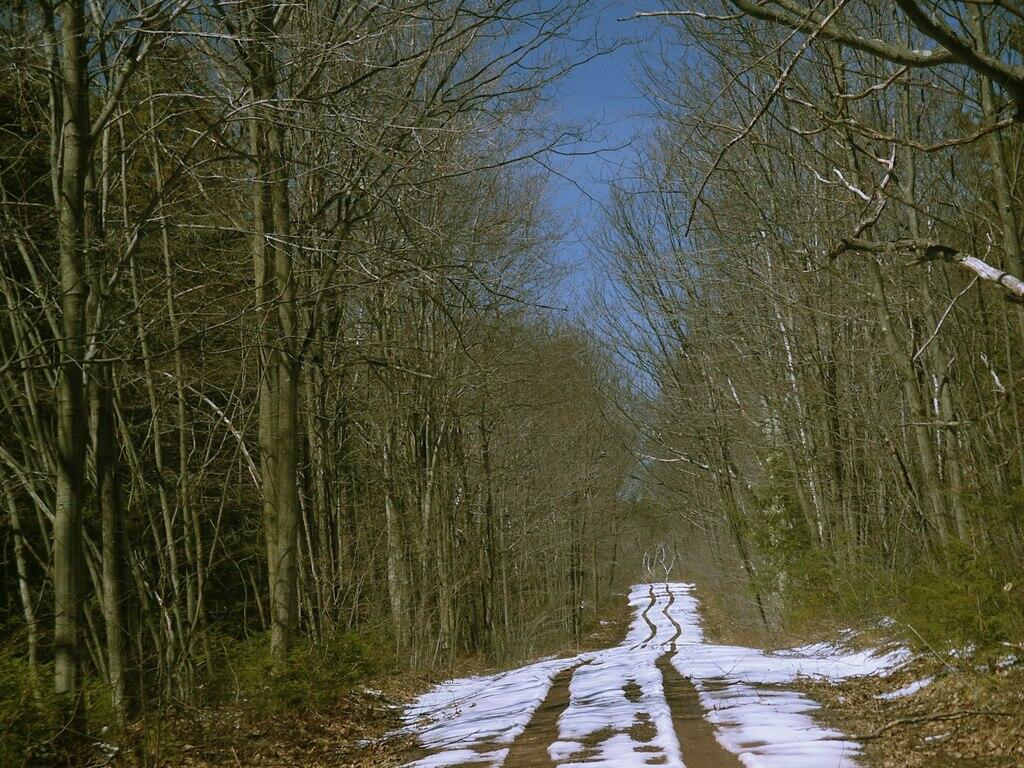 Photo: Melt Road