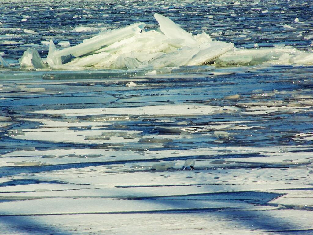 Photo: Ice Flows Photo: Ice Flows